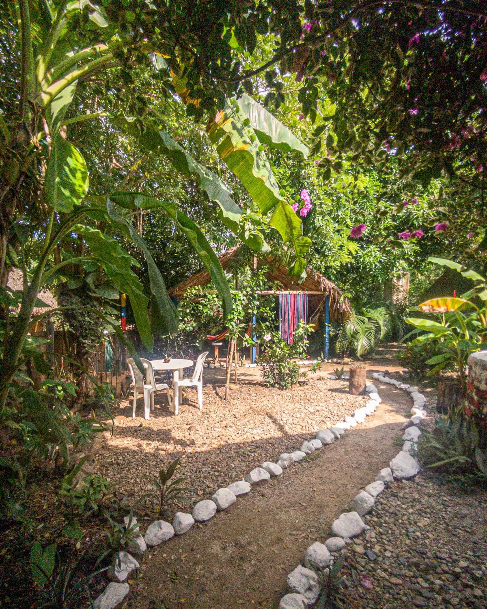 Hostal Palomino Ecohouse & Camping Exterior foto