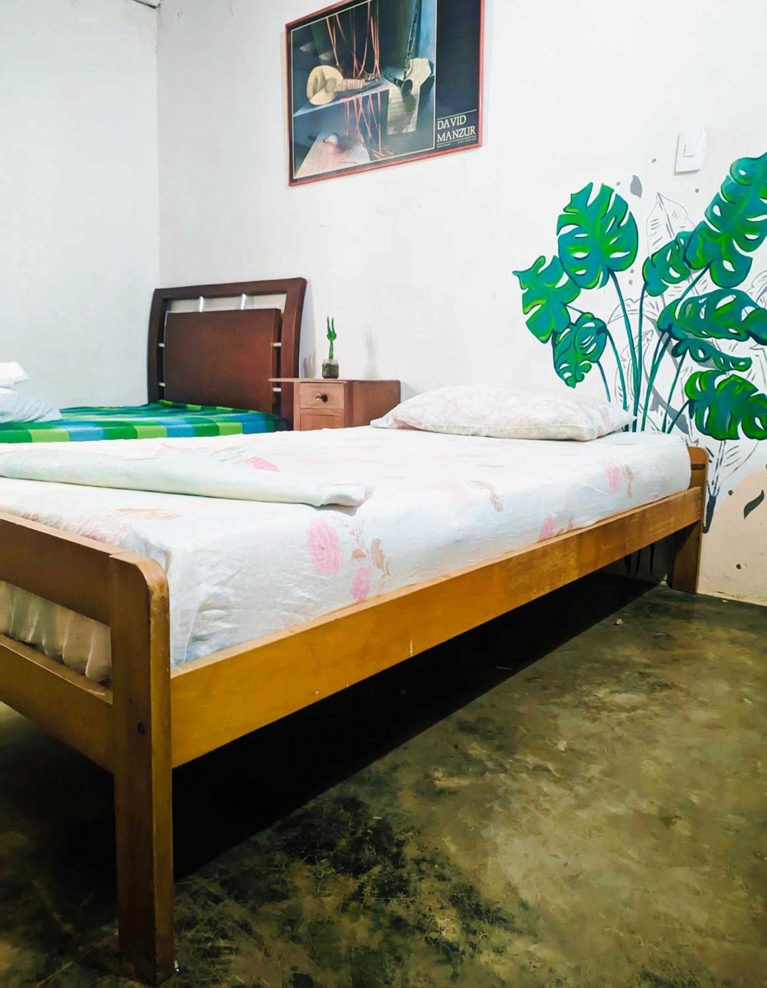 Hostal Palomino Ecohouse & Camping Exterior foto